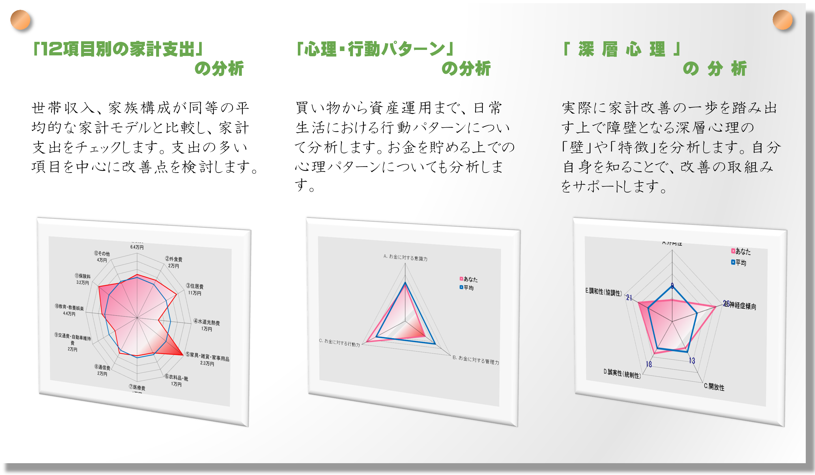 「12項目別の家計支出」の分析、「心理・行動パターン」の分析、「深層心理」の分析