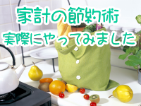 家計の節約術～実際にやってみました